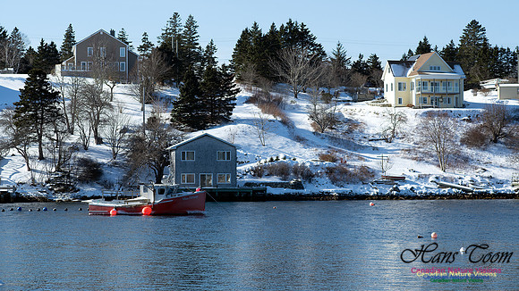 Prospect Bay Loop 127