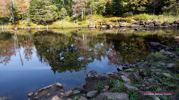 First Fall Photos Nova Scotia 101