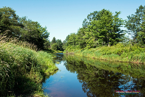 Musquodoboit River