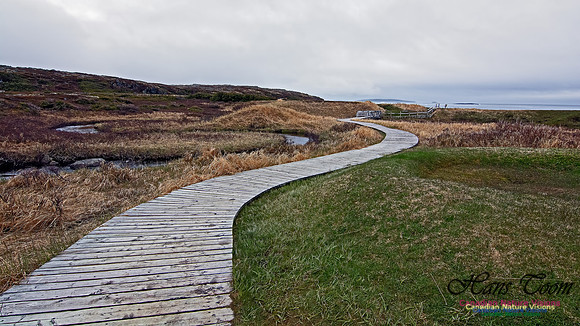 L'Anse aux Meadows 100