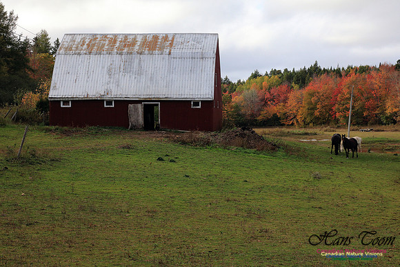 Shubenacadie Valley