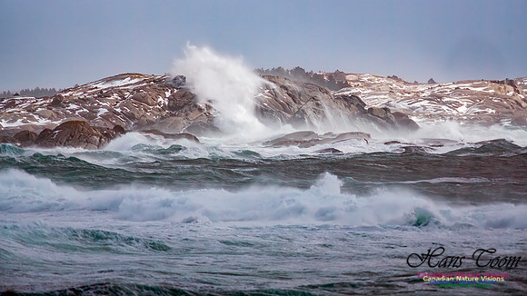 February 17 Gale 129
