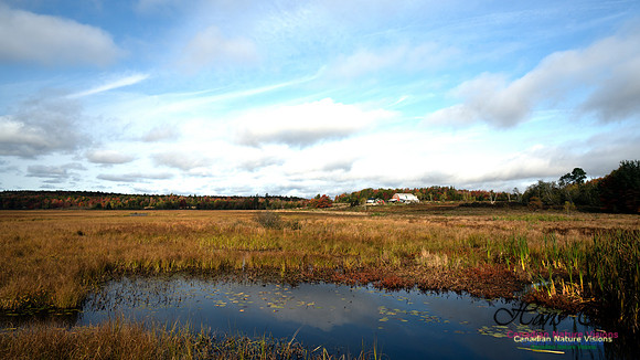 First Fall Photos Nova Scotia 109