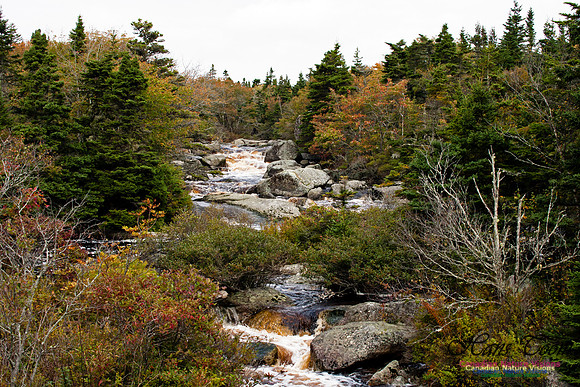 Pennant River