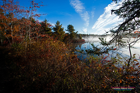 FallColours2012-23