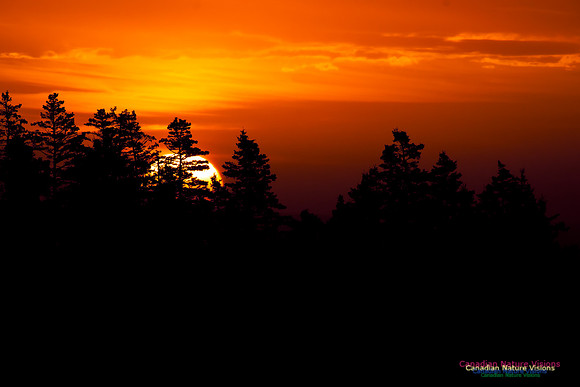 PortugueseCoveSunrise2