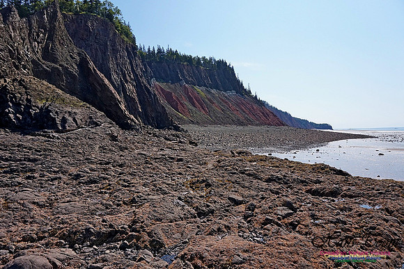 Five Islands Provincial Park 115