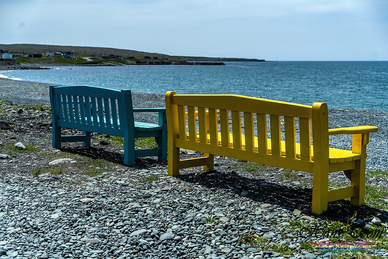 Cape Race 134