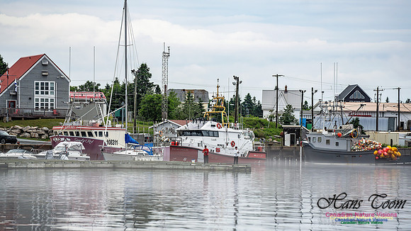 Harbour Traffic 103