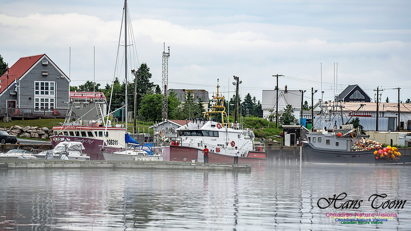 Harbour Traffic 103