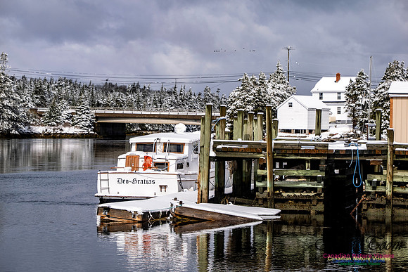 April Snow in Nova Scotia 203