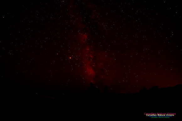 Milky Way 300