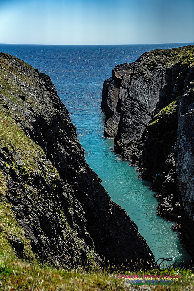 Cape Race 119
