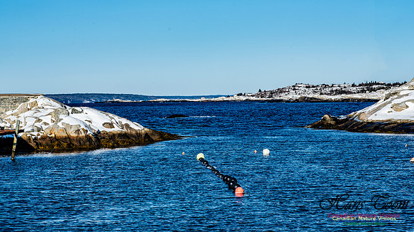 Prospect Bay Loop 167
