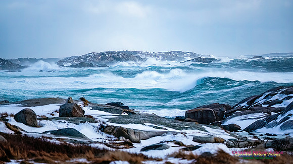 February 17 Gale 125