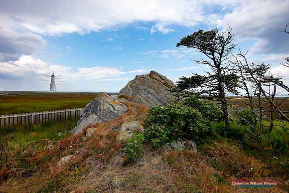 Cape Sable Light 103