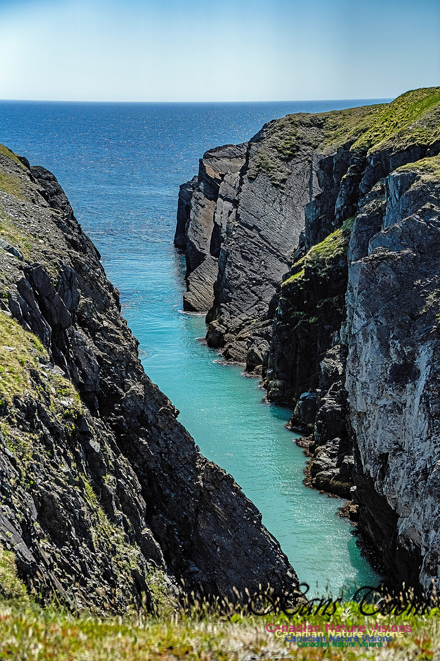 Cape Race 120