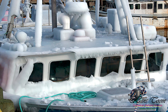 Icy Voyage