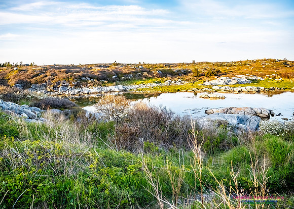 Late Day at Peggy's Cove 129