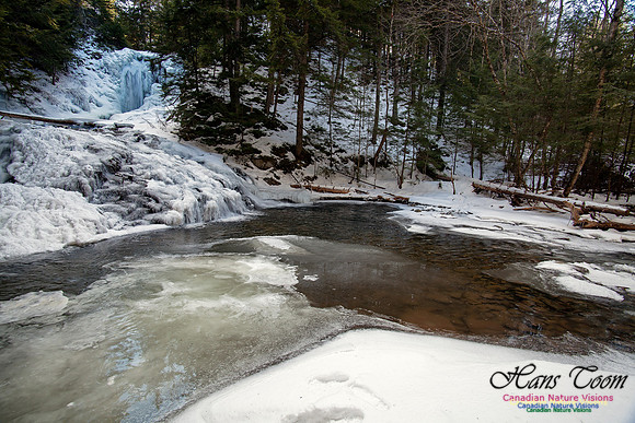 Butchers Creek