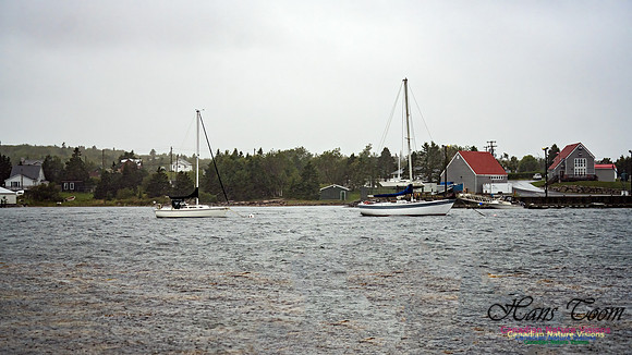 Nova Scotia Gale 2024-09-07 117