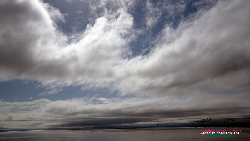 Clouds 100