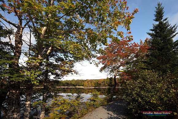 First Fall Photos Nova Scotia 126