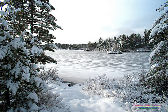 Bell Park in Winter