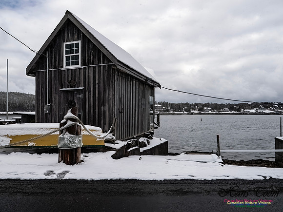 April Snow In Nova Scotia 117