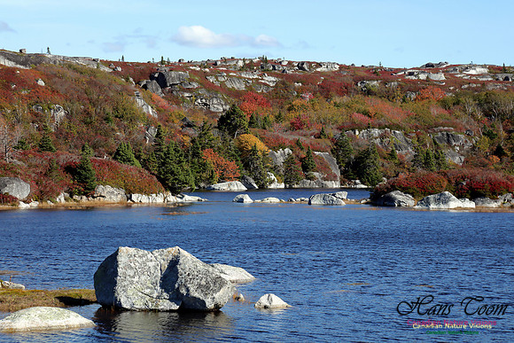 CoastalBarrensFall2016-1006