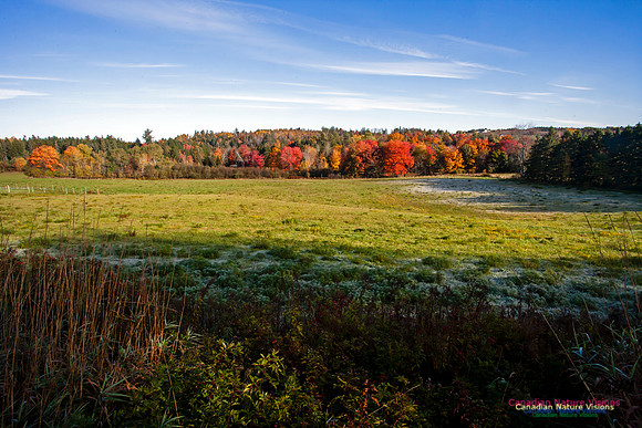 Smileys Provincial Park Fall Colours
