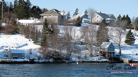 Prospect Bay Loop 132
