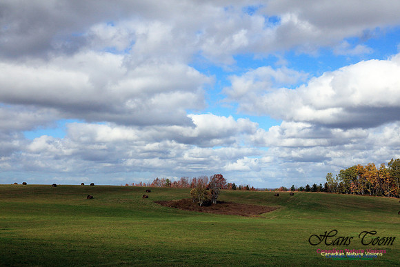 Shubenacadie Valley