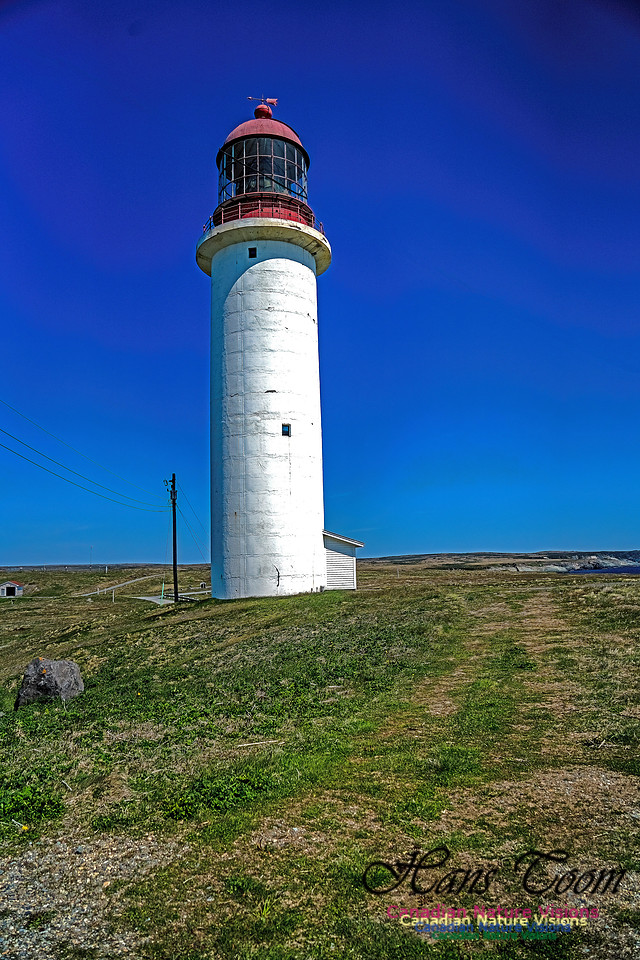Cape Race 124