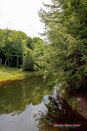 Balmoral Grist Mill