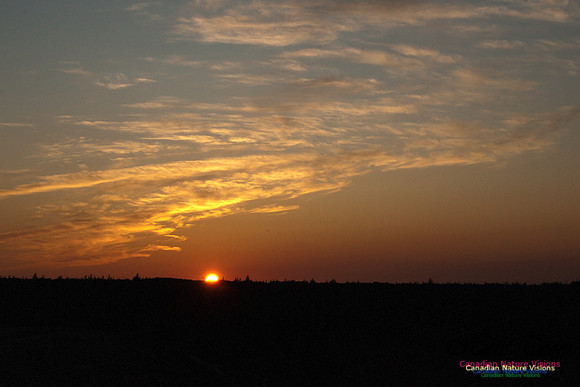 SunsetOverBarrens6