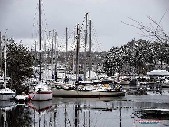 April Snow In Nova Scotia 100