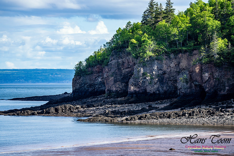 Cape d'Or 105