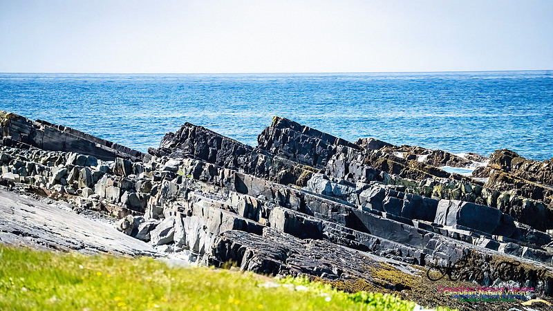 Cape Race 107