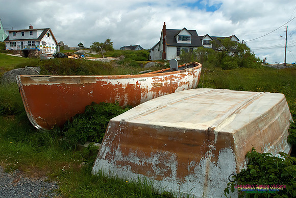 Peggys Cove