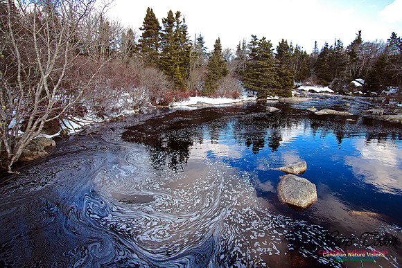 Pennant River