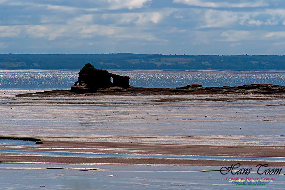 Blomidon Shoreline