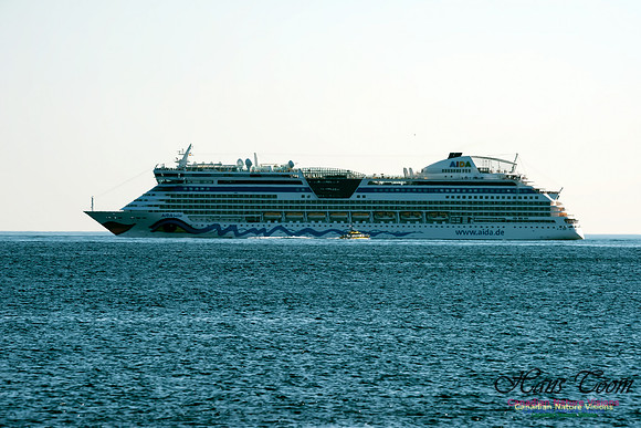 Aida