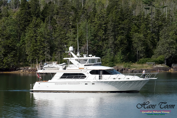 Pleasure Yacht