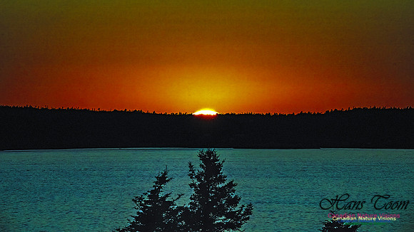 Sunset +1 101 copy