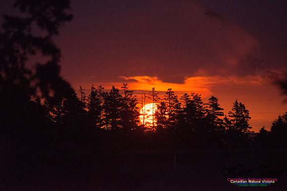 PortugueseCoveSunrise8