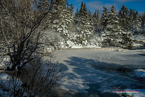 Nova Scotia Winter 344