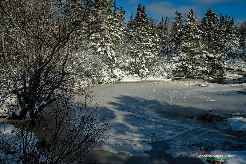 Nova Scotia Winter 344