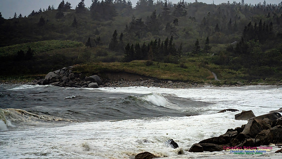 Nova Scotia Gale 2024-09-07 116