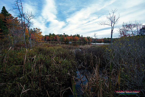 Sir Sanford Fleming Park